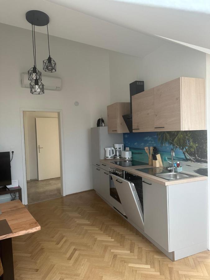 Klimatisiertes Dachgeschoss City Apartment In Zentrum Wiens Екстер'єр фото