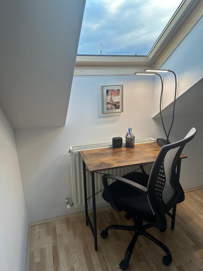 Klimatisiertes Dachgeschoss City Apartment In Zentrum Wiens Екстер'єр фото