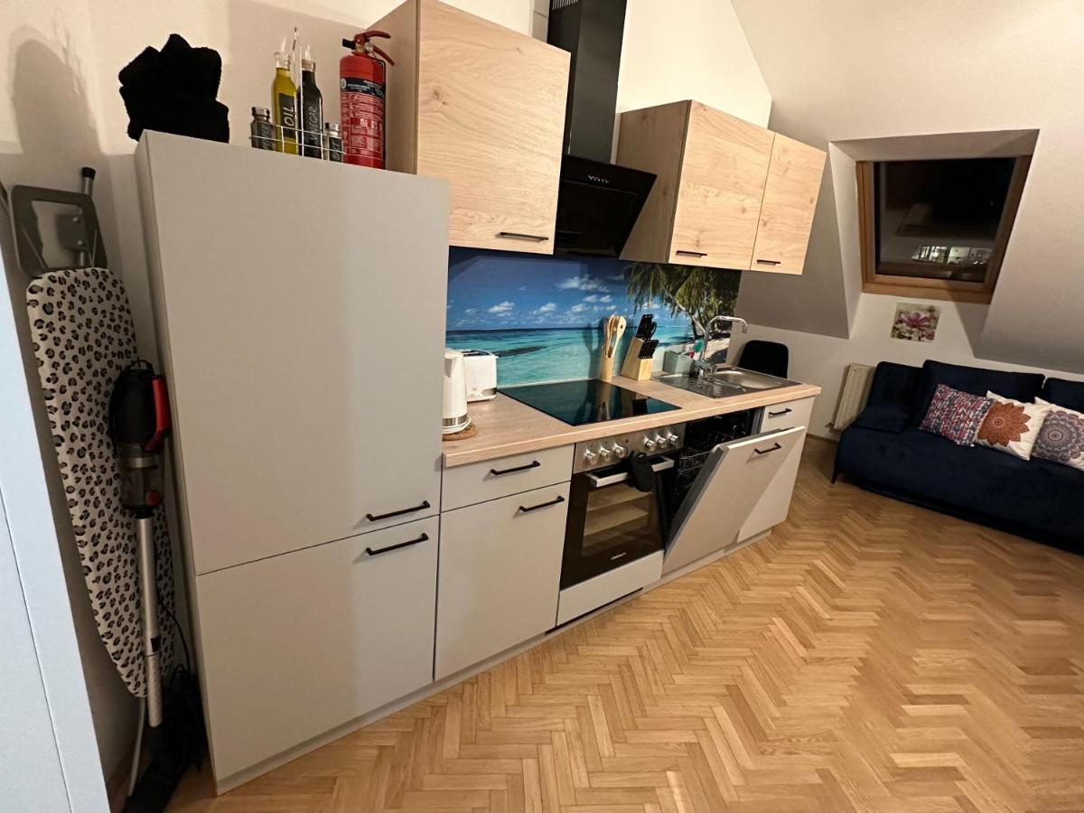 Klimatisiertes Dachgeschoss City Apartment In Zentrum Wiens Екстер'єр фото