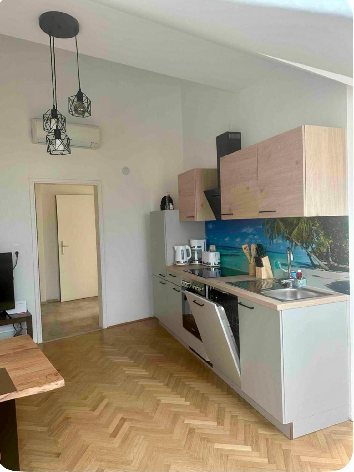 Klimatisiertes Dachgeschoss City Apartment In Zentrum Wiens Екстер'єр фото